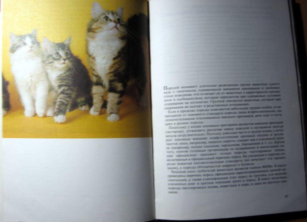 Атлас пород кошек.Автор Ян Варжейчко 2