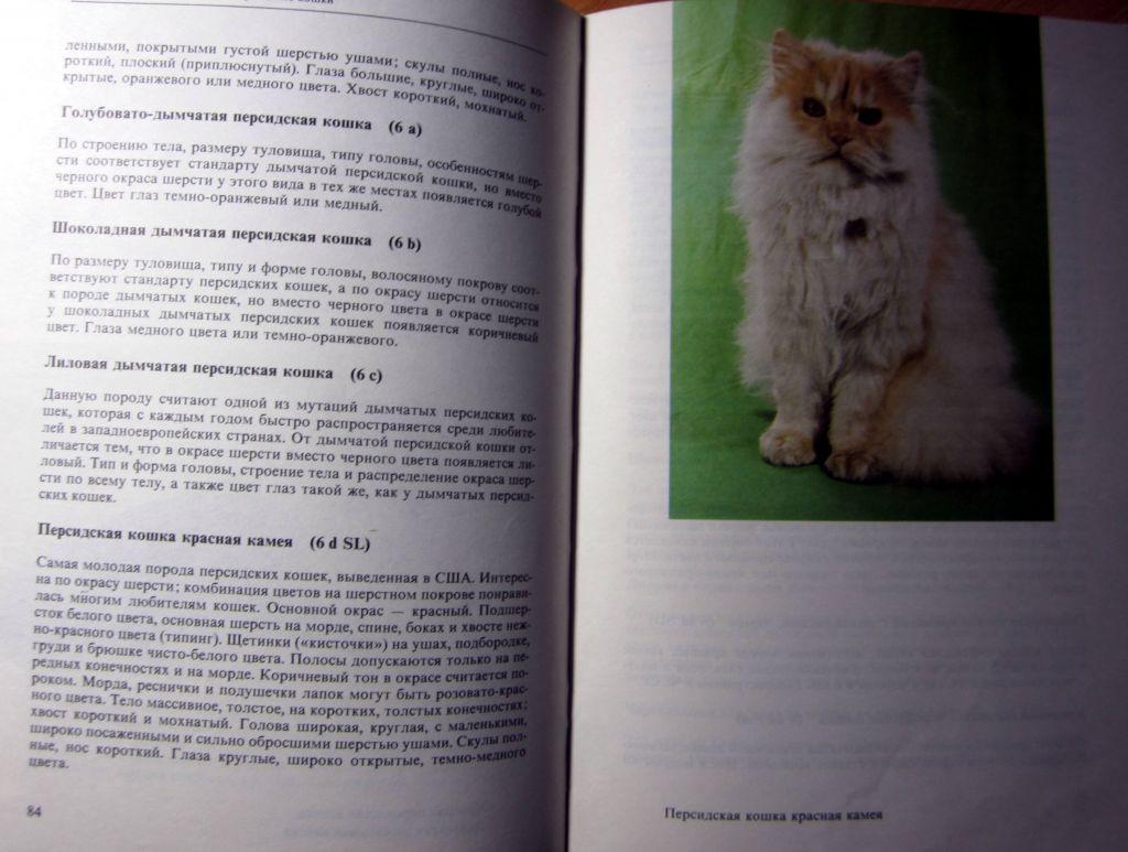 Атлас пород кошек.Автор Ян Варжейчко 3