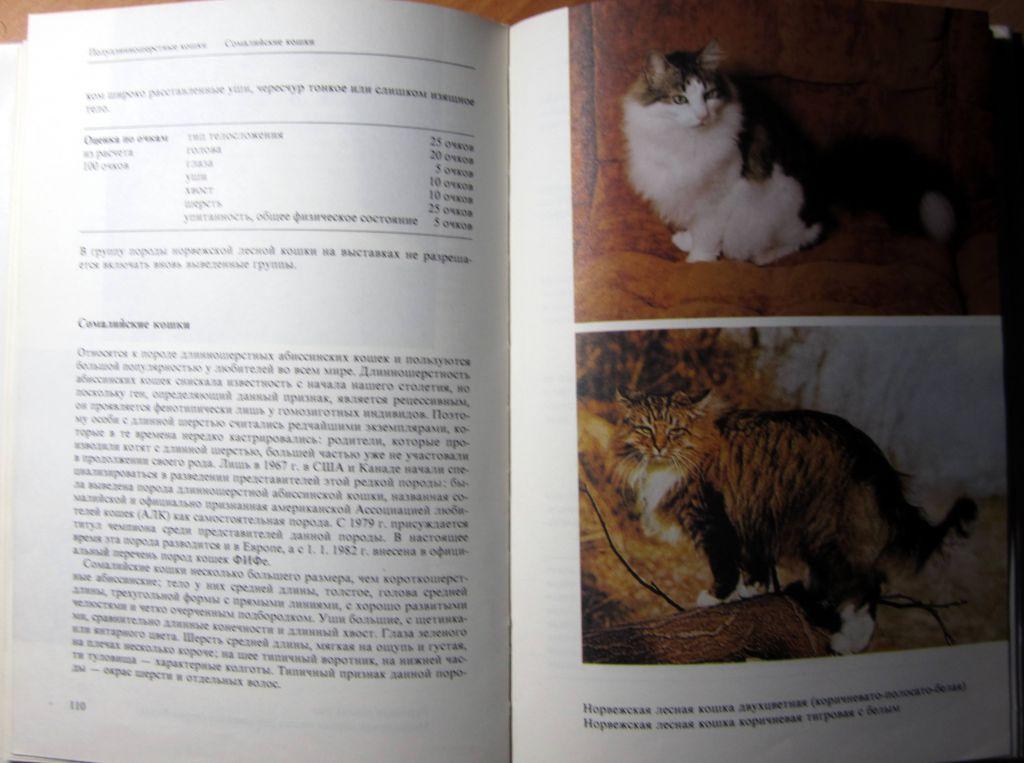 Атлас пород кошек.Автор Ян Варжейчко 4