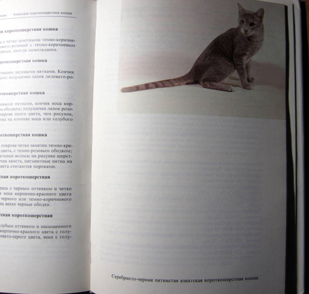 Атлас пород кошек.Автор Ян Варжейчко 5