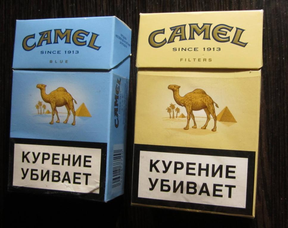 Какой фильтр используется в сигаретах camel yellow. Camel 1913 пачка сигарет. Пачка сигарет кэмел желтый. Camel сигареты верблюд. Сигареты кэмел желтый оригинал.