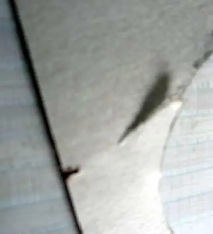 Пиво. Этикетка. Галстук. Ставгород, светлое. (г. Ставрополь) 2