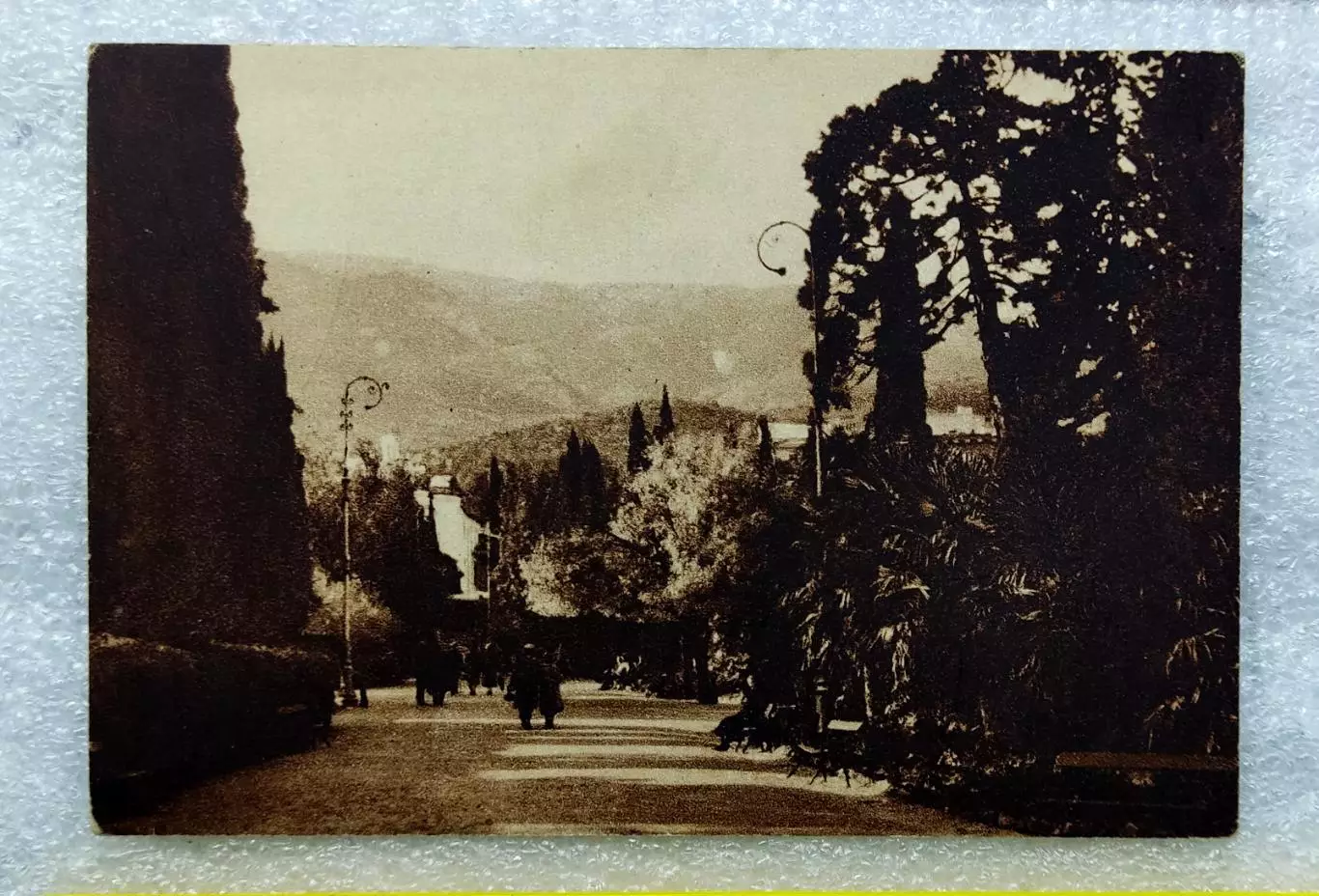 КРЫМ. ЯЛТА ГОРОДСКОЙ САД. ГИЗ. РЕДКАЯ