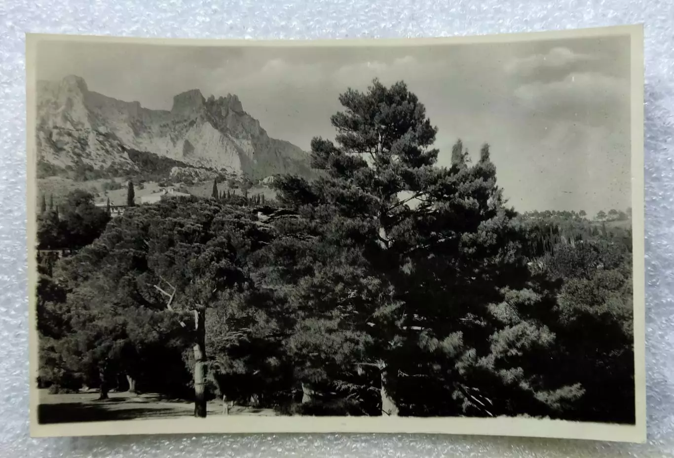 КРЫМ. ЯЛТА. АЛУПКА ПАРК. ВИД НА Ай-Петри 1953. РЕДКАЯ