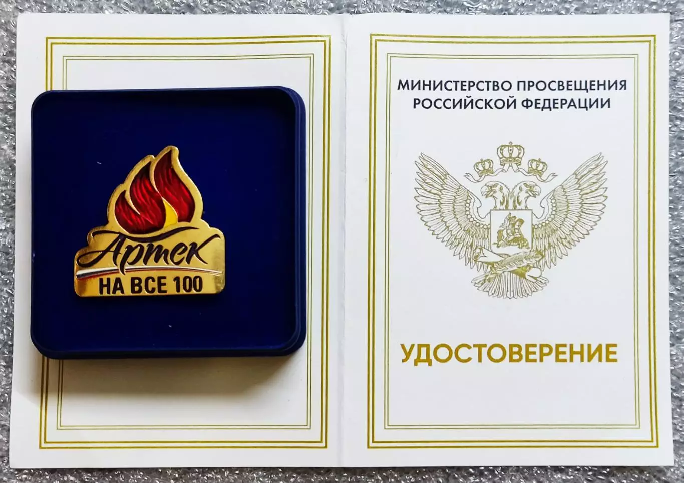 ЦК ВЛКСМ. ПИОНЕРИЯ. АРТЕК. КОСТЕРОК 2025. С ДОКУМЕНТОМ МИН. ПРОСВЕЩЕНИЯ