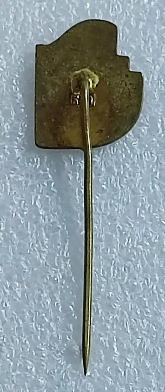 ПИОНЕРИЯ ЧЕХОСЛОВАКИЯ. ЧЛЕНСКИЙ. ТЯЖЕЛЫЙ ЭМАЛЬ 1