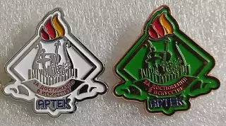 ЦК ВЛКСМ КОМСОМОЛ. ПИОНЕРИЯ АРТЕК - ЗА ДОСТИЖЕНИЯ В ИСКУССТВЕ. ПАРА тяж. мет.