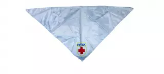 ЦК ВЛКСМ. ПИОНЕРИЯ АРТЕК. МЕДИЦИНСКИЙ ОТРЯД им. Г.Э. РАТА. ГАЛСТУК