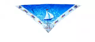 ПИОНЕРИЯ АРТЕК. УЧАСТНИК ФЕСТИВАЛЯ СЧАСТЛИВЫЕ ЛАДОНИ. 2010. ГАЛСТУК