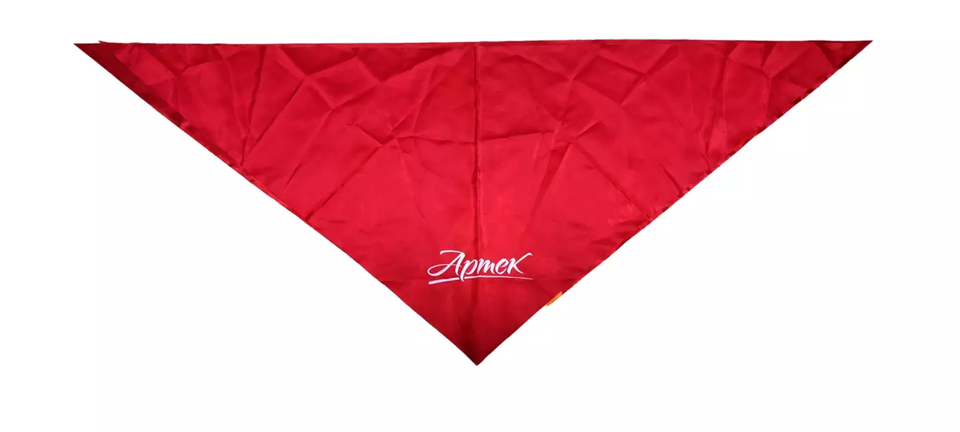 ЦК ВЛКСМ. КОМСОМОЛ. ПИОНЕРИЯ. АРТЕК - ГАЛСТУК