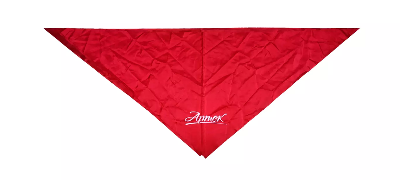 ЦК ВЛКСМ. КОМСОМОЛ. ПИОНЕРИЯ. АРТЕК - ГАЛСТУК 1