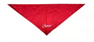 ЦК ВЛКСМ. КОМСОМОЛ. ПИОНЕРИЯ. АРТЕК - ГАЛСТУК