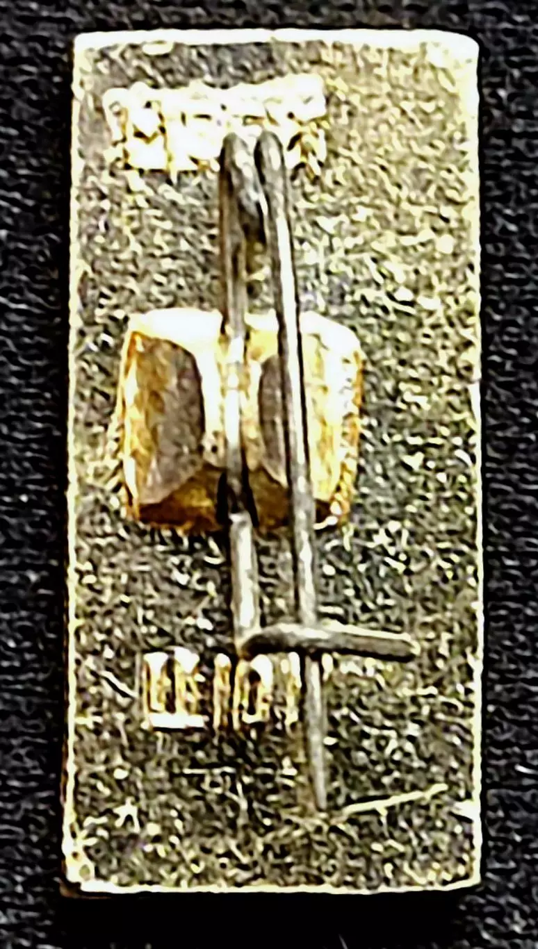 Праздники 7 ноября 1971 - 54 юбилей Великого Октября. МЗСИ 1