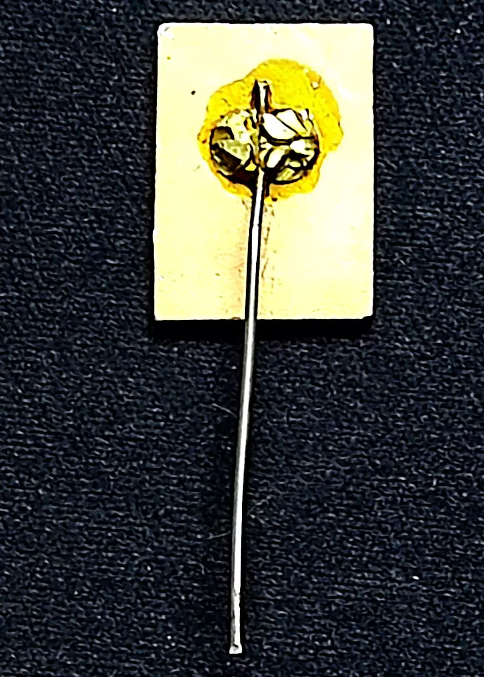 Города. Москва 1964 Виноделие. Выставка чехословацких виноделов промышленность 1