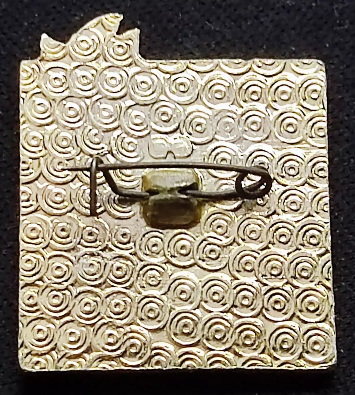 Пионерский лагерь Артек - вожатый инструктор. Должностной знак 1