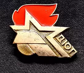 Пионерия СССР. ДЮП дружина юных пожарных. членский ВХО