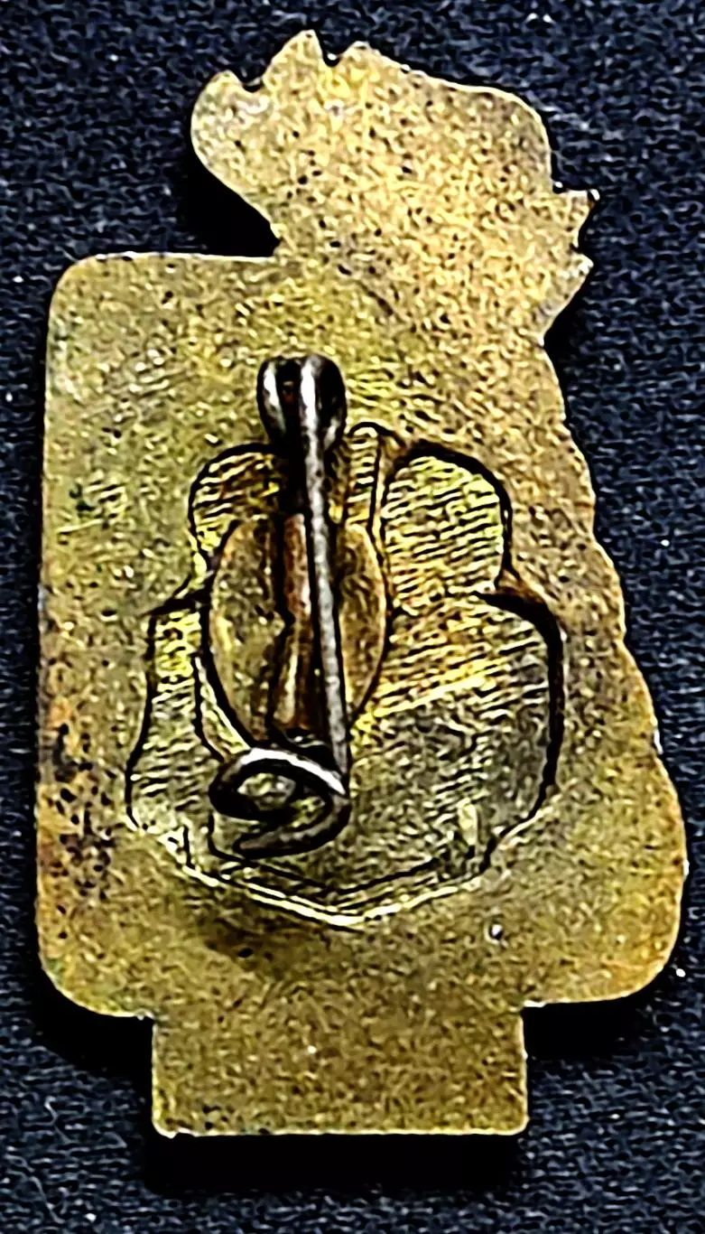 Пионерия Германия ГДР. за отличную работу в школе 1981 тяжелый 1