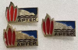 ЦК ВЛКСМ. КОМСОМОЛ. ПИОНЕРИЯ. АРТЕК - КОСТЕРОК 60-х. ЯСФ цена за один знак
