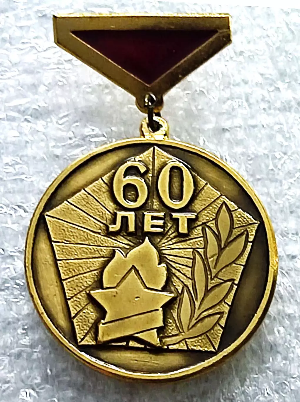 ВПО. СОВЕТСКОЙ ПИОНЕРИИ 60 ЛЕТ 1922-1982. УЧАСТНИК ОБЛАСТНОГО ПРАЗДНИКА