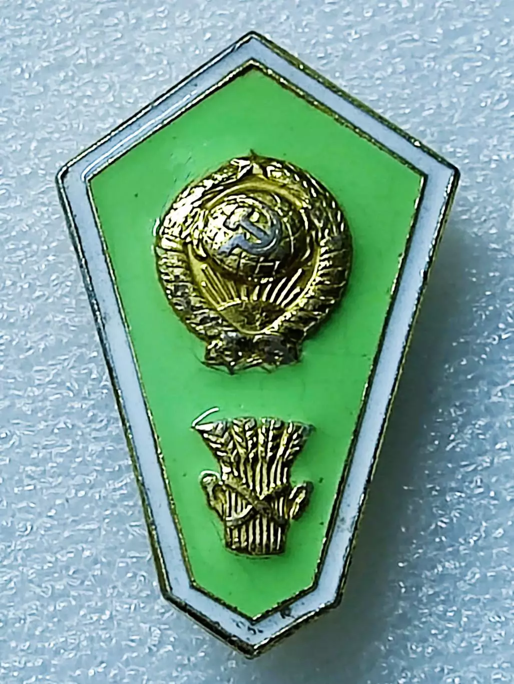 ОБРАЗОВАНИЕ. РОМБ. ПОПЛАВОК СЕЛЬСКОХОЗЯЙСТВЕННЫЙ ТЕХНИКУМ. ММД