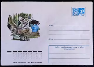 ХМК СССР 1975. Птицы. Розовый пеликан. Фауна. Худ. Бейлин