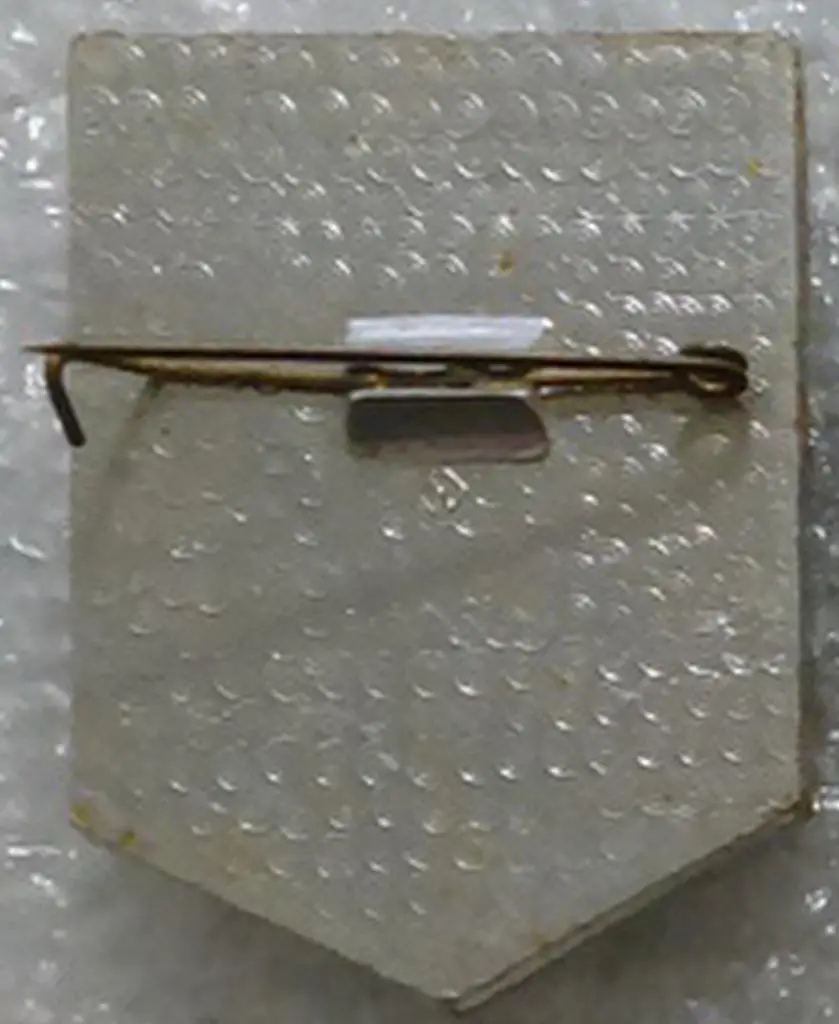 СПОРТ. ДСО ТРУДОВЫЕ РЕЗЕРВЫ. СЛУЖЕБНЫЙ ЗНАК ЧЛЕНА ОРГКОМИТЕТА СОРЕВНОВАНИЙ 1