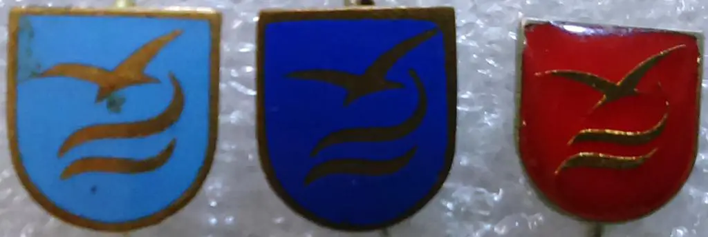 СПОРТ. ДСО БУРЕВЕСТНИК. ЧЛЕНСКИЕ.ФРАЧНИКИ. ЭМАЛЬ. ТРИ ВАРИАНТА. тяж. мет ОДНИМ ЛОТ