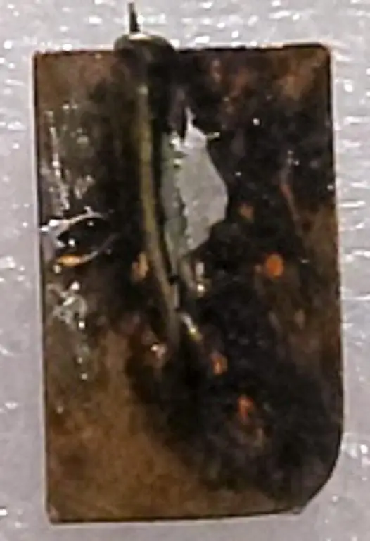 СПОРТ. ДСО СПАРТАК 25 ЛЕТ. з-д Победа 1 1