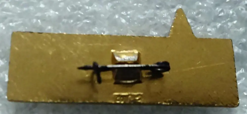 ТУРИЗМ. УЧАСТНИК ПОХОДА 500 км. ФСЗ. НАГРАДНОЙ 1