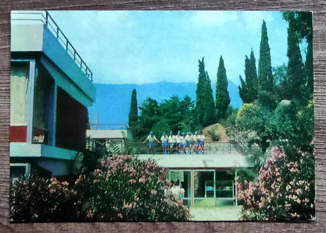 КРЫМ. ЛАГЕРЬ АРТЕК. МОРСКОЙ. СОЛЯРИЙ. 1971. ФОТО ЯКИМЕНКО. ШАМШИНА. ЧИСТАЯ