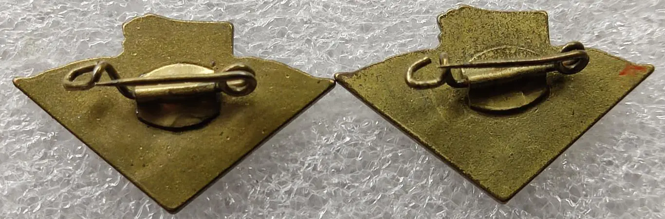 ВЛКСМ. КОМСОМОЛ. ПИОНЕРИЯ. ГДР. НАГРАДА ВОЖАТОГО. ЗА ДОСТИЖЕНИЯ ПИОНЕРОВ. ПАРА 1