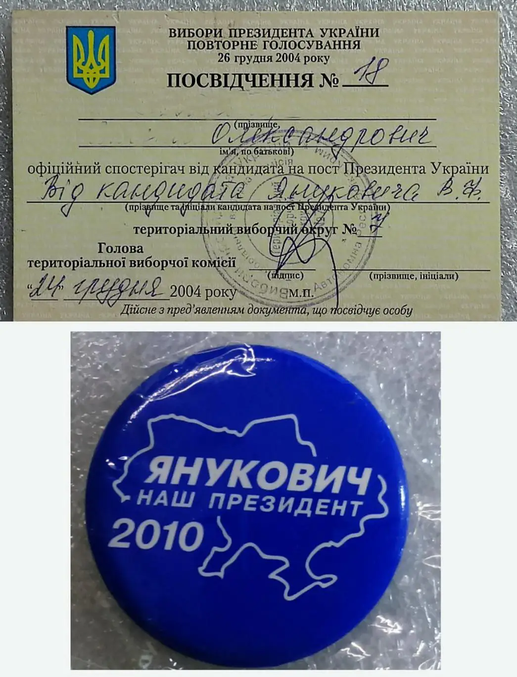 ПОЛИТИКА. УКРАИНА. ЗНАК - ЯНУКОВИЧ НАШ ПРЕЗИДЕНТ + ДОК НАБЛЮДАТЕЛЯ