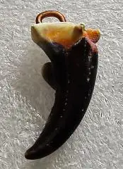 ПОДВЕСКА. КУЛОН. АМУЛЕТ. БОЕВАЯ КЛЕШНЯ КРАСНОГО (КАМЕННОГО) КРАБА.