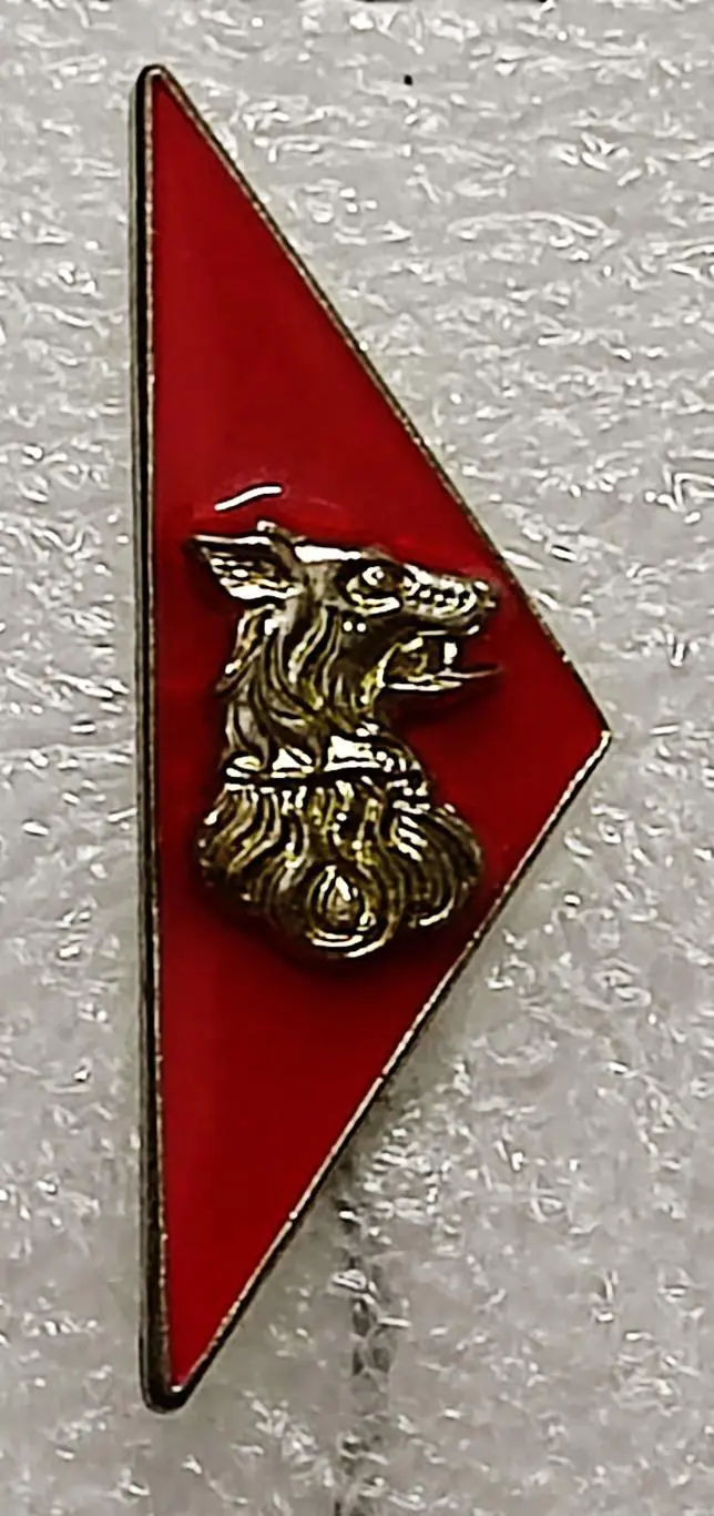 ПИОНЕРИЯ ЧССР. ЧЕХОСЛОВАКИЯ. ЮНЫЙ ПОГРАНИЧНИК. БЕЛЫЙ. ТОЛЬКО ЗНАЧОК