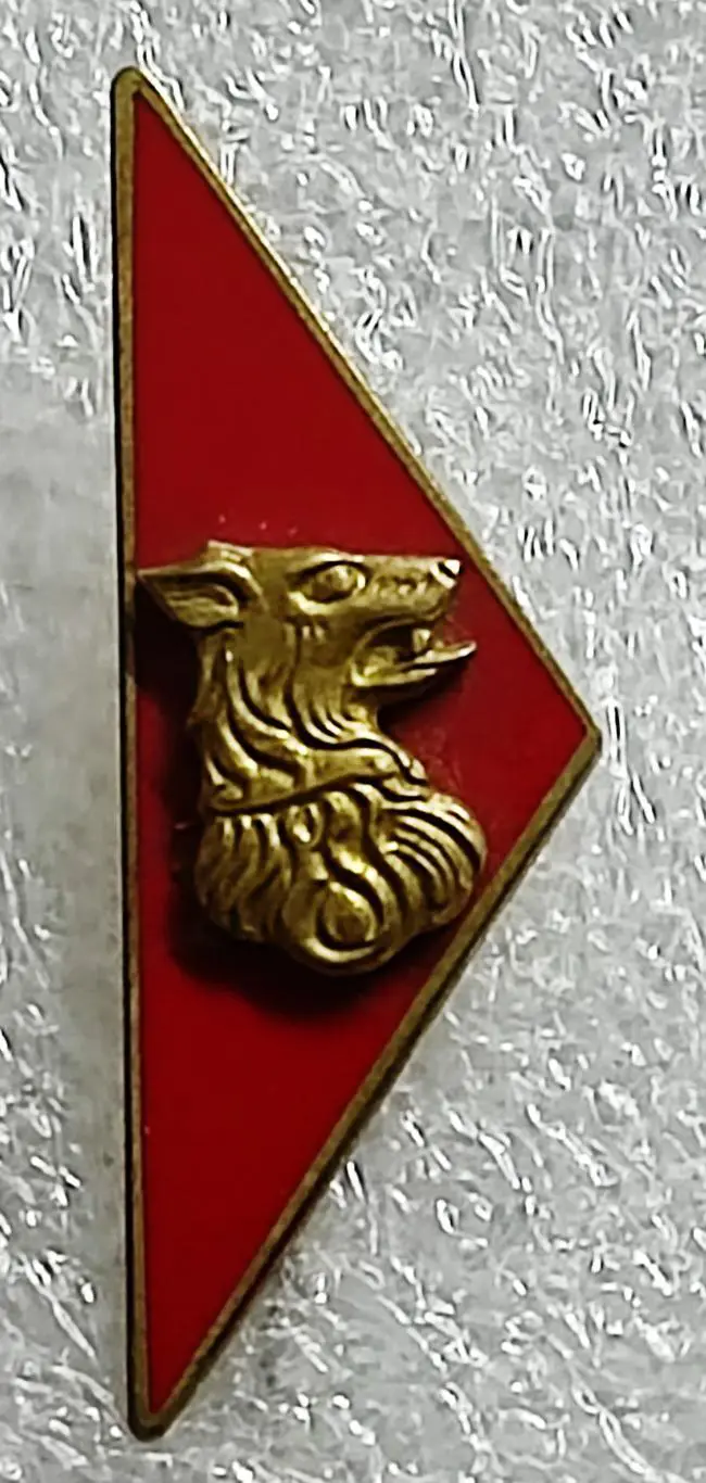 ПИОНЕРИЯ ЧССР. ЧЕХОСЛОВАКИЯ. ЮНЫЙ ПОГРАНИЧНИК. ЗОЛОТОЙ. ТОЛЬКО ЗНАЧОК