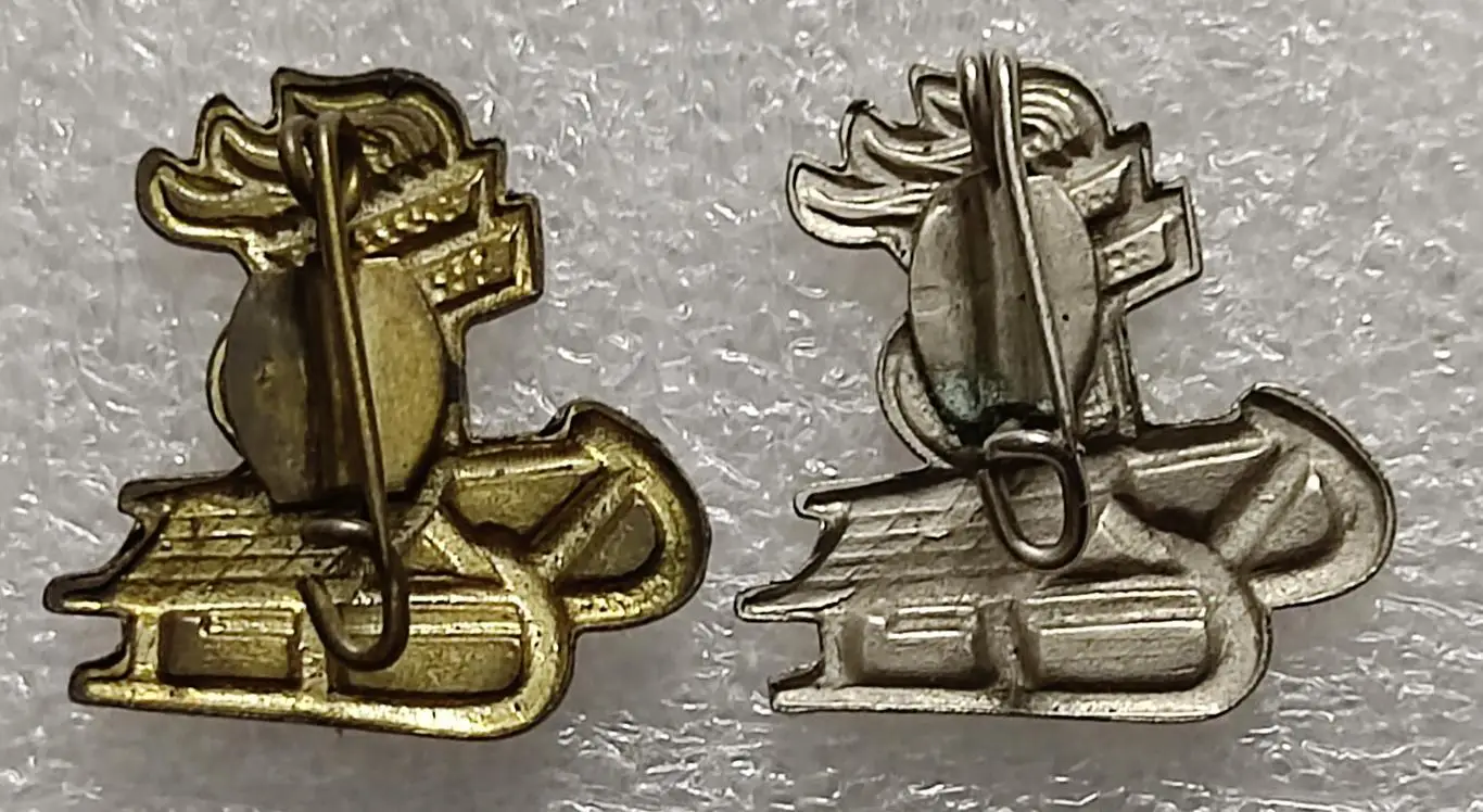 ПИОНЕРИЯ ГДР ЗИМНИЙ СПОРТ САНКИ. САНИ. ЗОЛОТО. СЕРЕБРО. ПАРА. тяжелый 1