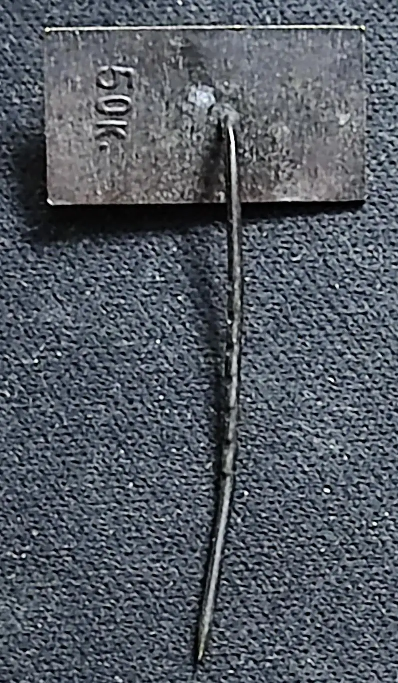 Города. Литовская ССР. Паланга. Курорт. Музей янтаря. тяжелый. янтарь 1