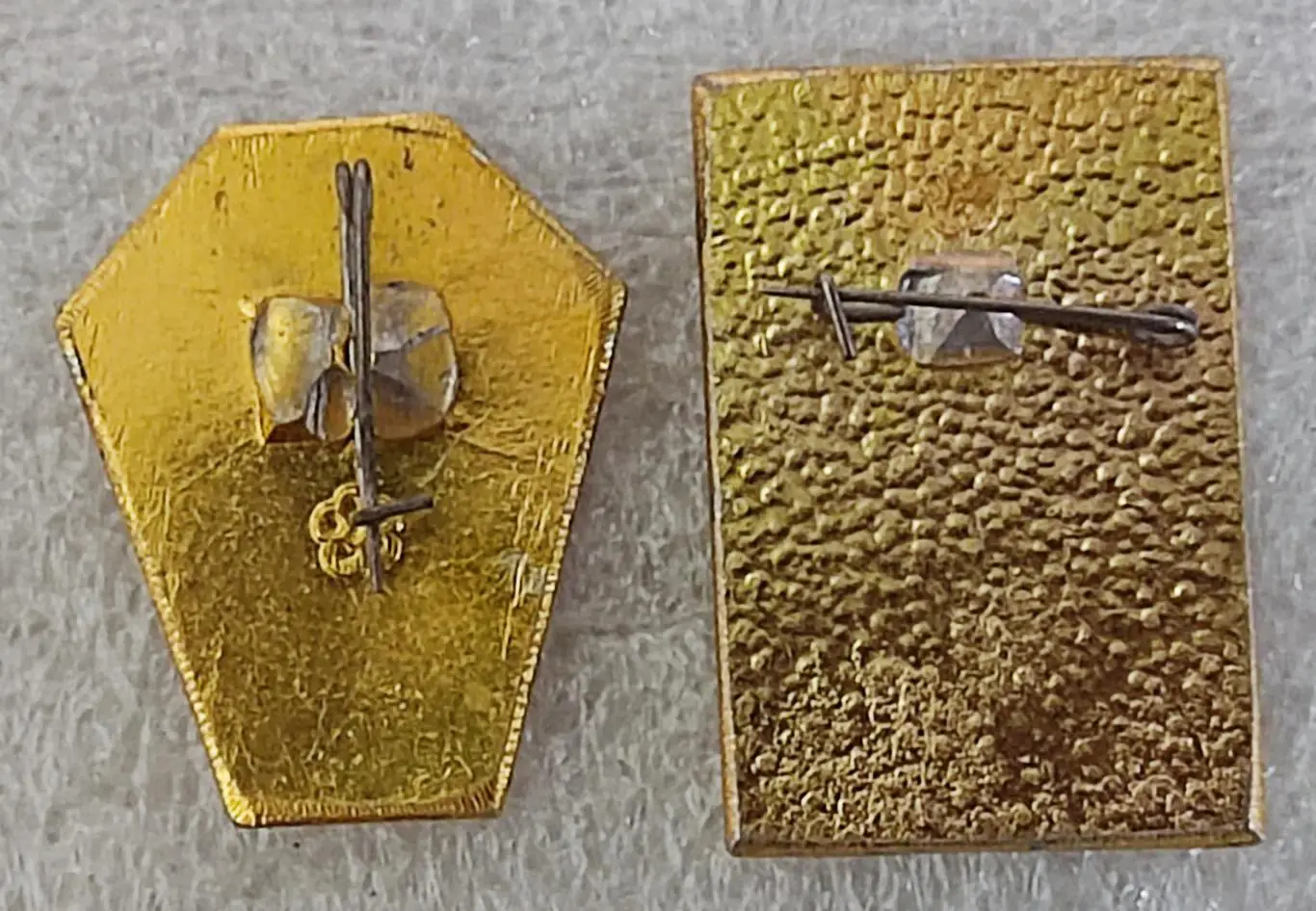 МЕДИЦИНА. ФЛОРА. ЖЕНЬШЕНЬ ЛЕКАРСТВЕННЫЙ КОРЕНЬ. пара 1