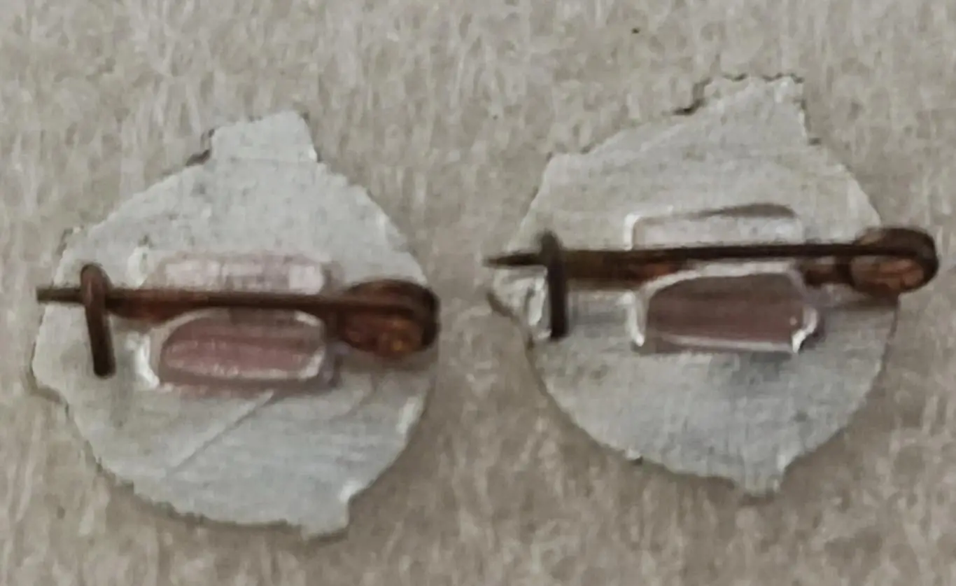 ЦНИИМЭСХ. ИНСТИТУТ МЕХАНИЗАЦИИ И ЭЛЕКТРИФИКАЦИИ СЕЛЬСКОГО ХОЗЯЙСТВА НЕЧЕРНОЗЕМЬЯ 1