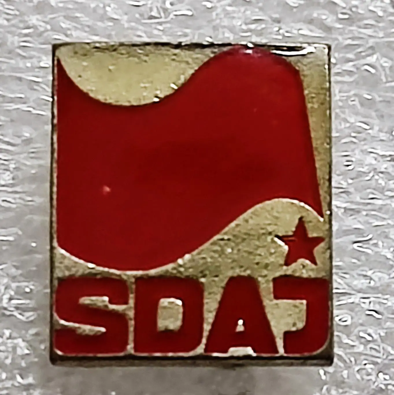 КОМСОМОЛ ФРГ, SDAJ СОЦИАЛИСТИЧЕСКАЯ РАБОЧАЯ НЕМЕЦКАЯ МОЛОДЕЖЬ