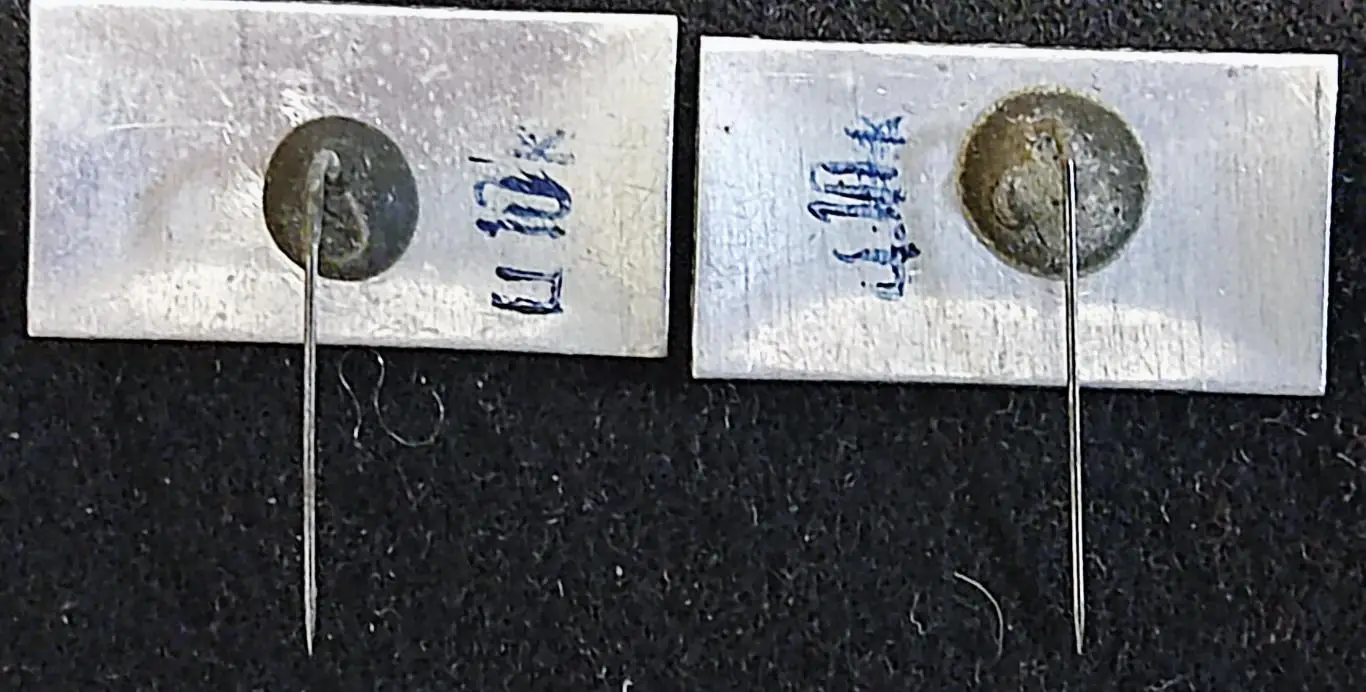 Города. УзССР Ташкент - музей В.И. Ленина. пара 1