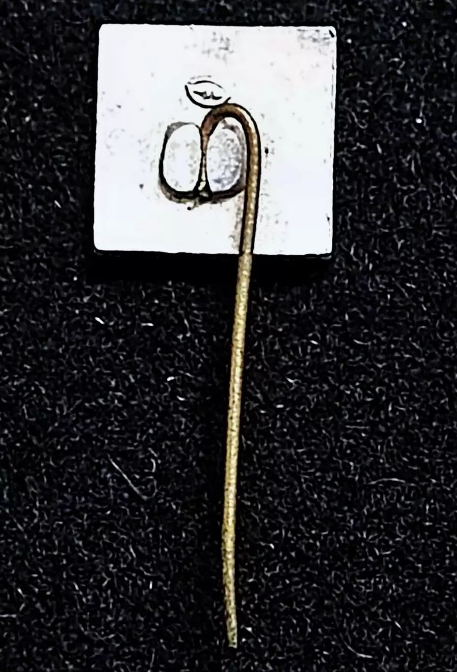 Армия. Вооруженные силы. Советской армии 1918-1968. Юбилей - 50 лет. 1 1