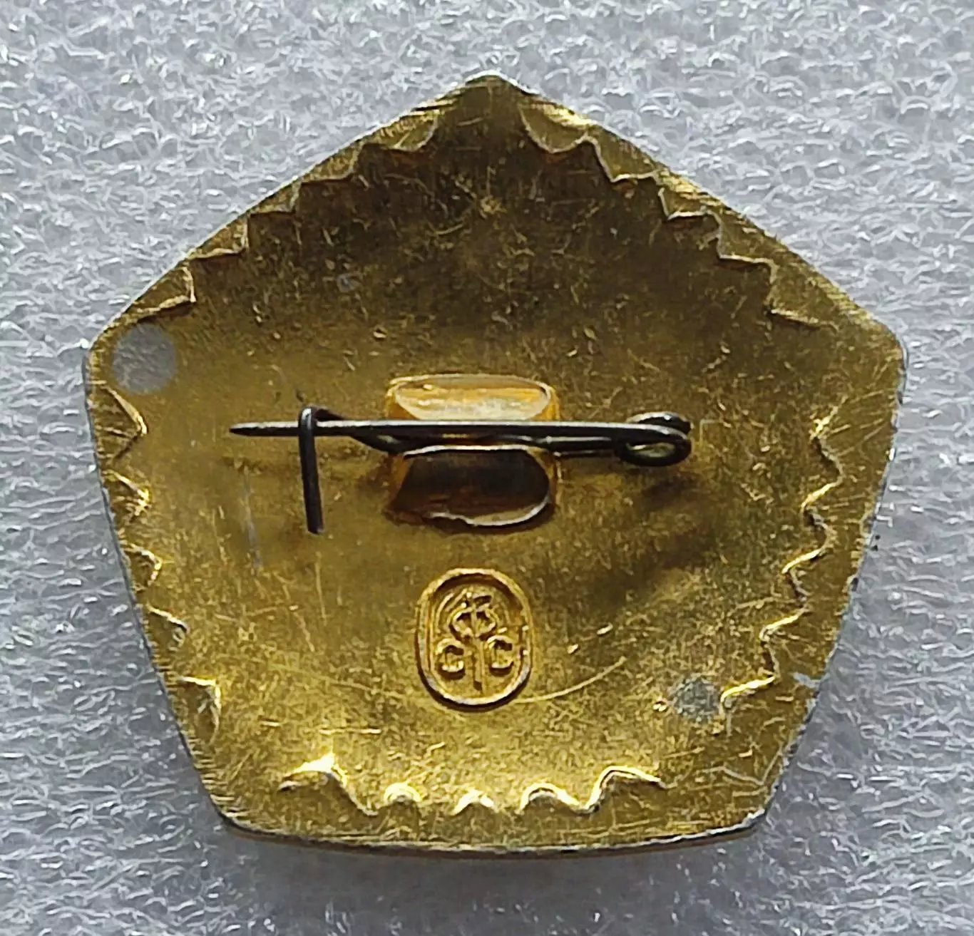 СПОРТ. ГТО V СТУПЕЬ. ПЯТИЛЕТКА КАЧЕСТВА. ЗОЛОТО. ФСС 1