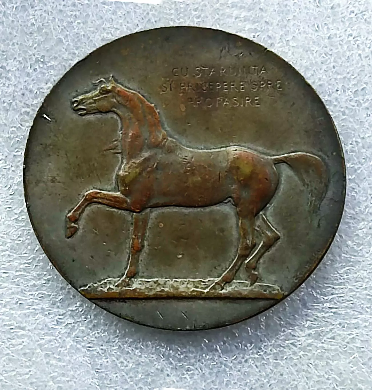 КОНЕВОДСТВО. ПРОМЫШЛЕННОСТЬ. СЕЛЬСКОЕ ХОЗЯЙСТВО. ЗООТЕХНИЧЕСКАЯ ВЫСТАВКА 1925