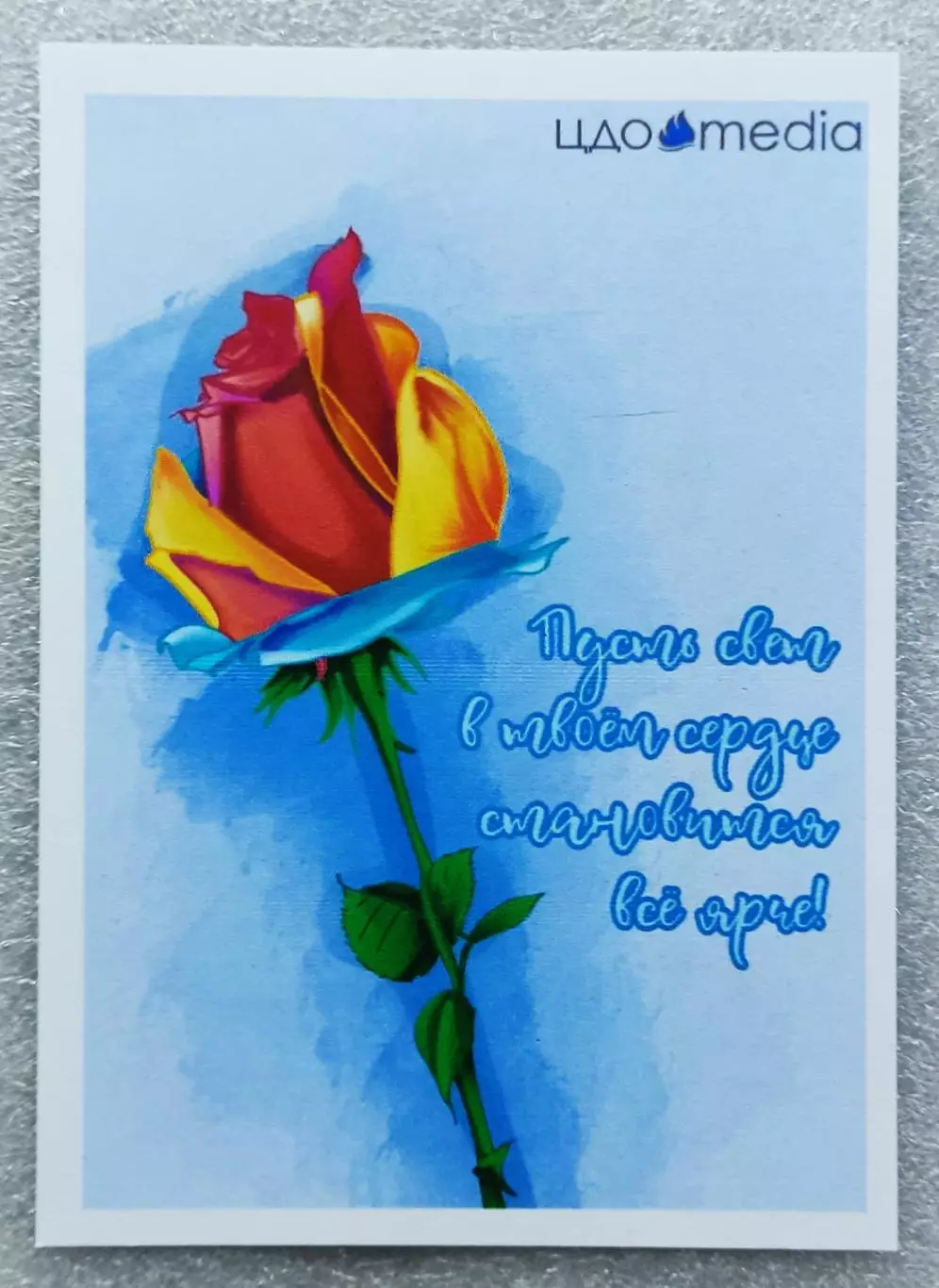 КРЫМ. АРТЕК ЦДО МЕДИА. РОЗА. ДОП. ОБРАЗОВАНИЕ