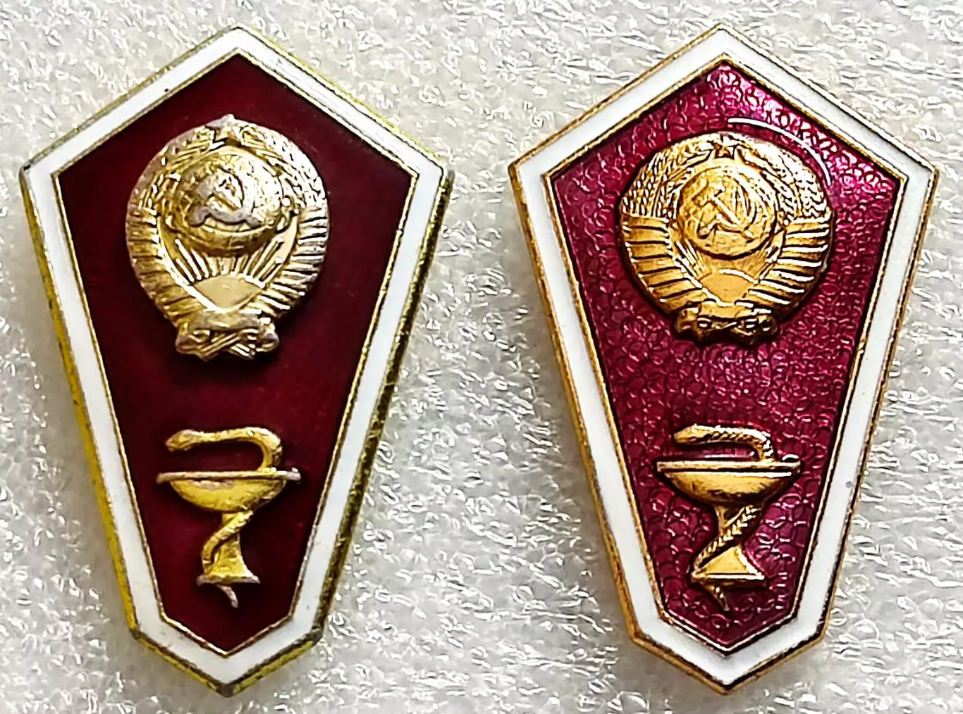 ОБРАЗОВАНИЕ ПОПЛАВОК МЕДИЦИНА УЧИЛИЩЕ. ПАРА НАКЛАДНОЙ И ШТАМПОВАННЫЙ ЛМД