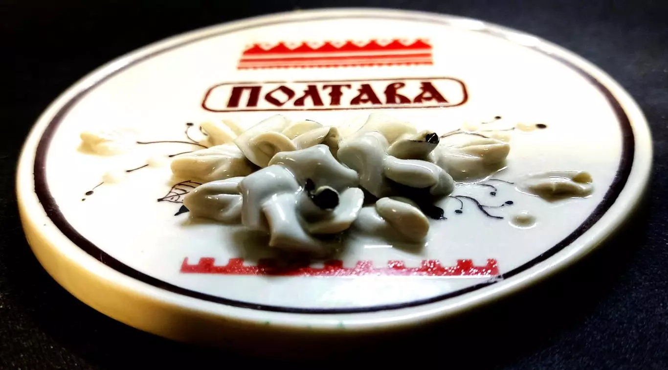 Города. Полтава. Керамика. Барельефная медаль. Редкость. Очень красивая 1