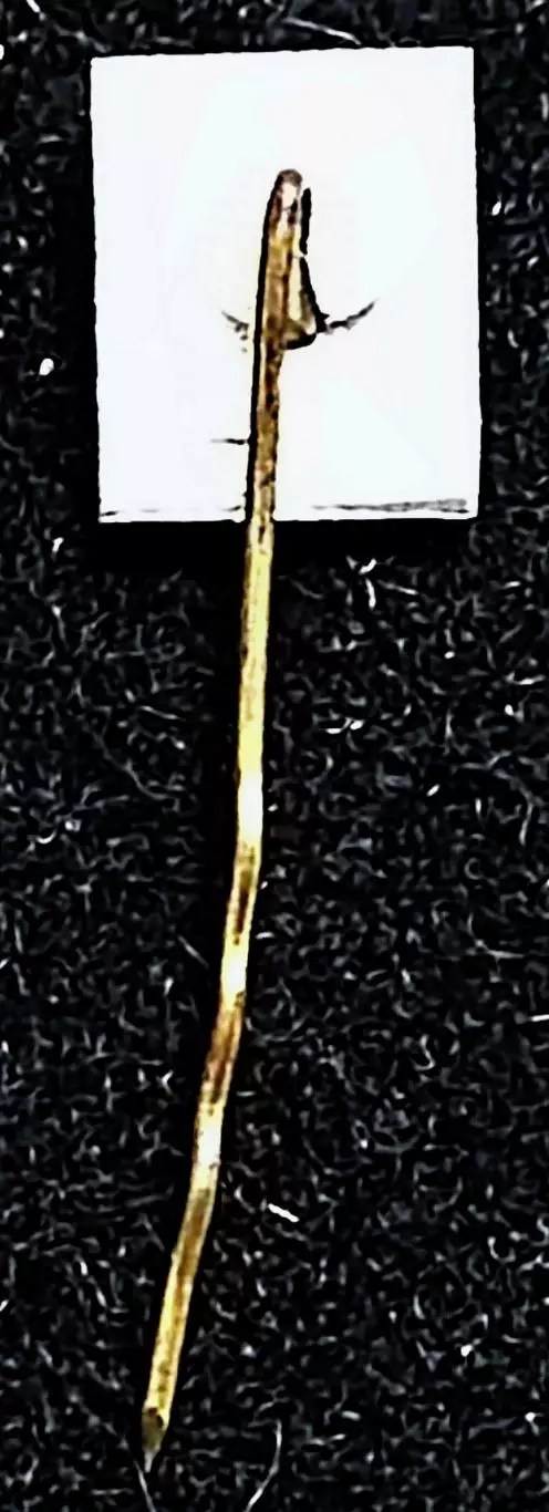 Ленин В.И. 1870-1970 100 лет мини 1