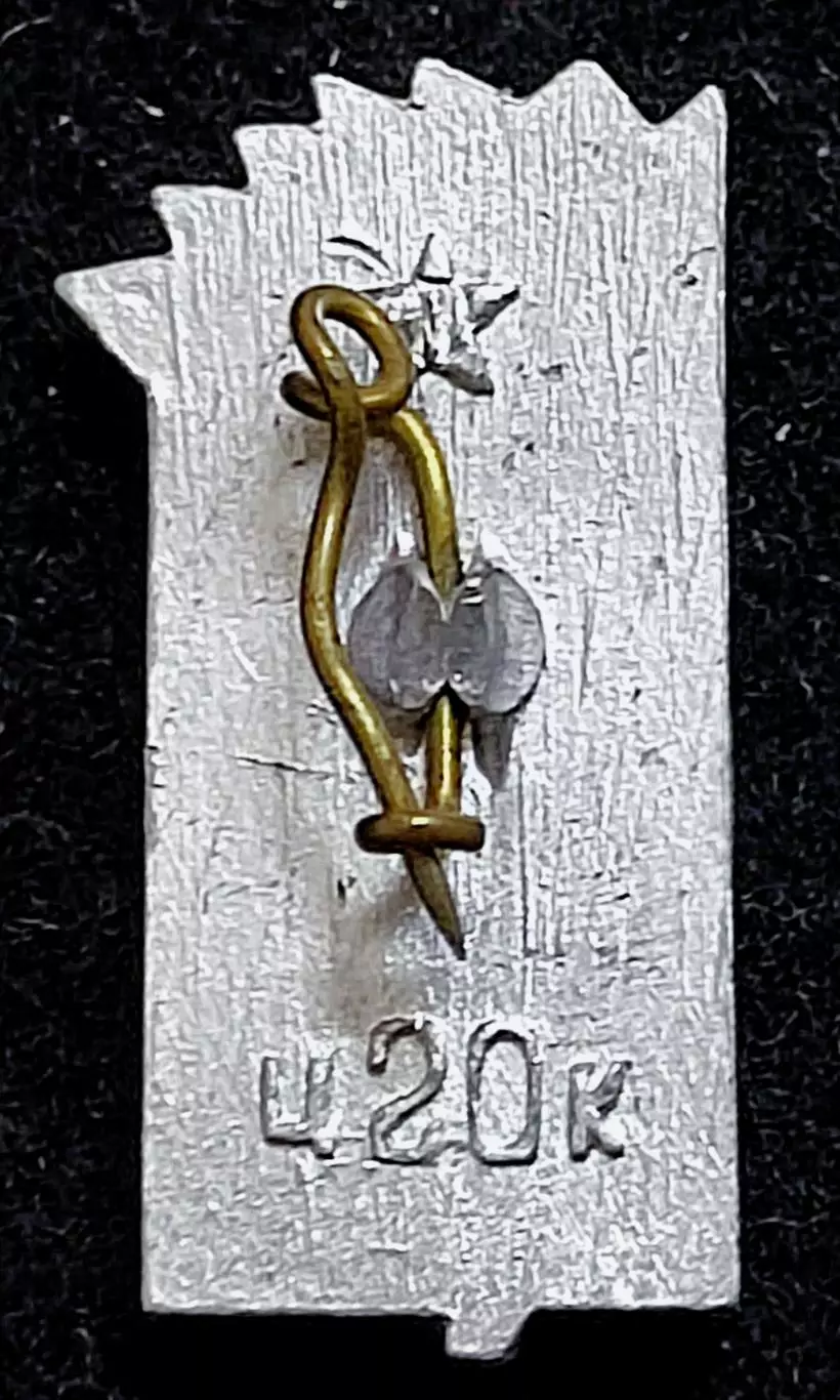 Ленин В.И. гвоздика 1870-1970 100 лет 1