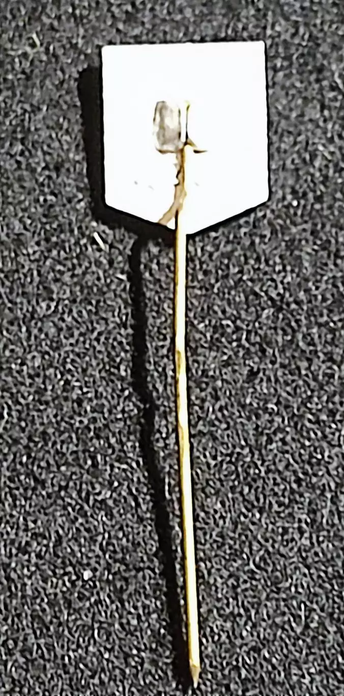 Ленин В.И. Ульянов. редкий Прибалтика. Латвия фрачник 2